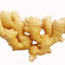 In 2021, With Fresh Ginger thumbnail-5