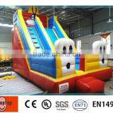 Most Fascinating Inflatable Slide Type Inflatable Double Lane Slip Slide thumbnail-4