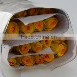 Fashionable Yellow Crown Real Touch Rose Yellow Roses thumbnail-3