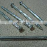 Galvanized Concrete Nail Factory
