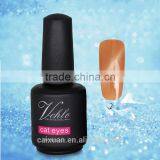 V.chlo Professional Nail UV Gel Curing Soak Off Glitter Cat Eye Gel Polish 15ML