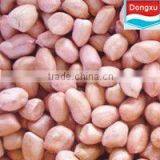 Chinese Organic Raw Peanut