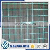 1/2 Inch Pvc Coated Welded Bird Cage Wire Mesh thumbnail-1