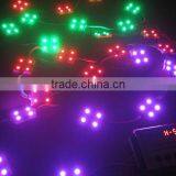 SMD5050 Color Changing LED Module IC Waterproof