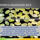 China Professinal Artificial Rice Making Machine /food Products Made Rice