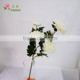 BJ016 5 Heads White Big Chinese Chrysanthemum Flower for Home Decoration thumbnail-2