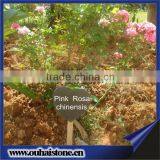 Hot-sale Heart Shape Natural Slate Plant Labels and Tags thumbnail-1