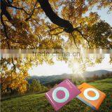 FM Mini Pocket Radio