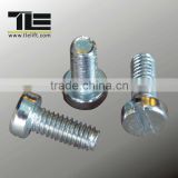 Machine Screw with Cylinder Slotted Head