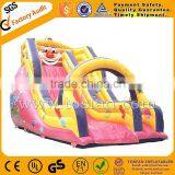 Super Quality Inflatable Slides for Outdoor A4049 thumbnail-5