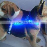 Light up Dog Collar thumbnail-2