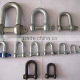 Various Size Galvanized Carbon Steel Forged d Shackles thumbnail-6