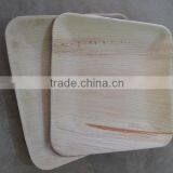 High Quality of New Square Shape Areca Plate Supplier in Malaysia / Singapore / Thailand thumbnail-1