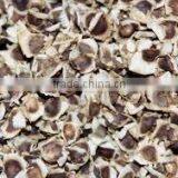 INDIAN MORINGA OLIFERIA SEEDS