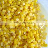 Canned Sweet Corn24x425ml , Nw340, Dw250g, Vacuum Pack thumbnail-1