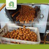 High Quality Light Quarters Walnut Kernels Market Price thumbnail-2