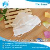 Disposable Earloop Two Layers Non Woven Face Mask