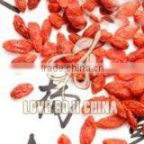 Ningxia Goji Berry thumbnail-1