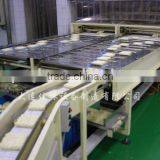 Chain Conveyor