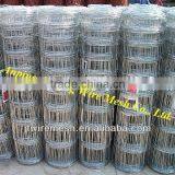 Heavy Duty Galvanized Mesh Diamond Mesh Horse Fencing From China