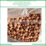 Lightweight Clay Pebbles for Aquaculture/LECA/expanded Clay Ball thumbnail-1