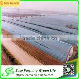 Anti Snow Solar Greenhouse for Sale thumbnail-4
