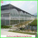Commercial Plastic Vegetable Greenhouse for Sale With Seedbed thumbnail-2