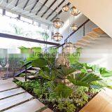 Easy Installation Light Gauge Steel Framing Tiny Guest Houses thumbnail-4