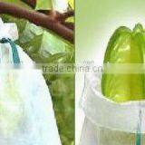 100% pp Spunbond Non Woven Agriculture Banana Bags thumbnail-2