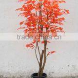 Supply Artificial Mini Maple Bonsai Tree thumbnail-2