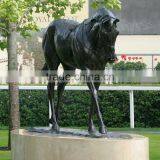 Outdoor Handicraft Life Size Horse Bronze Statue for Garden Decoration thumbnail-3