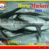 FROZEN W/R HORSE MACKEREL thumbnail-1