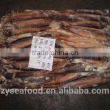 Hot Selling Frozen Argentina Squid thumbnail-3