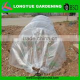 vegetable plant protection cover