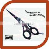 Professional Hairdressing Hair Scissors Shears