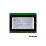 Graphic LCD Module
