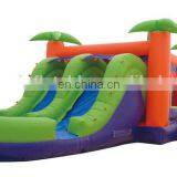 Paypal Accepted 0.55mm Pvc Tarpaulin Jumping Water Bouncy Castle thumbnail-1