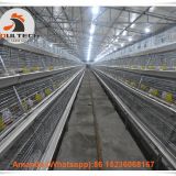 Colombia Selling Poultry Farming Baby Chick Cage & Automatic Small Chicken Cage & Pullet Coop with Feed Trough for 5000 Chicks in Chicken Shed