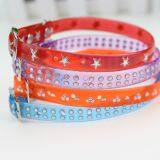 Puppy PVC Collar With Bell Neckband Pet Cat Collar Pet B2 thumbnail-1