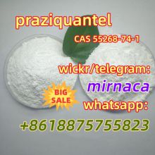 praziquantel CAS 55268-74-1 safe and quick delivery  whatsapp:+8618875755823
