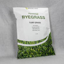 White Portland Cement 42.5 Kraft Paper Valve Bags