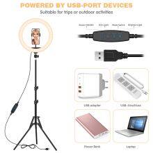 12in Photography LED Selfie Ring Light Three-speed Stepless Lighting Dimmable With Cradle Head For Makeup Video Live Studio thumbnail-4