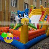 Inflatable Dinosaur Park