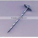 Roofing Nail thumbnail-1