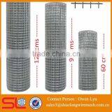 Galvanized Aviary Wire Mesh ( ISO 9001 Factory) thumbnail-3