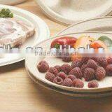 Eco-green Bamboo Fibre 10" Round Plate Wholesale