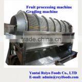 Cherry Grading Machine / Cherry/tomato Grading Machine thumbnail-5