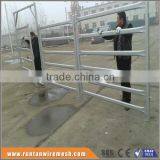 Anping Cheap Galvanized Portable Iron Fences for Horses (Factory Trade Assurance)
