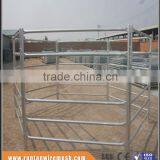 Trade Assurance Round Oval or Square Pipe Galvanized Steel Corral Panels