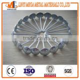 china nails factory hot sale galvanized roofing nails
